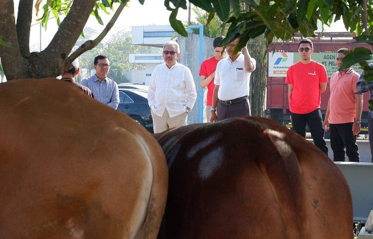 Pembagian Daging Qurban PT Petrogas Jatim Utama