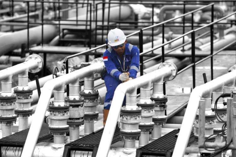 SKK Migas Revisi Peraturan Pengadaan di Industri Hulu