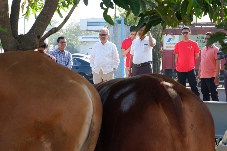 Pembagian Daging Qurban PT Petrogas Jatim Utama